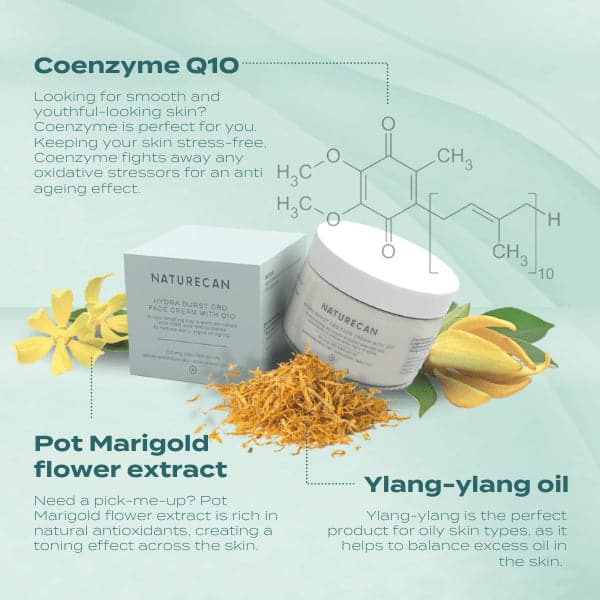 CBD Face Cream - Coenzyme Q10 info